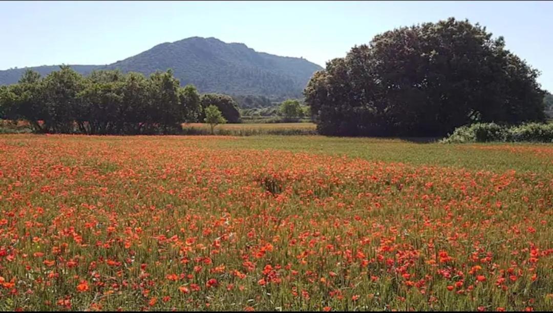 Bastide De L'Oliveraie Avec Jacuzzi Jouques Εξωτερικό φωτογραφία